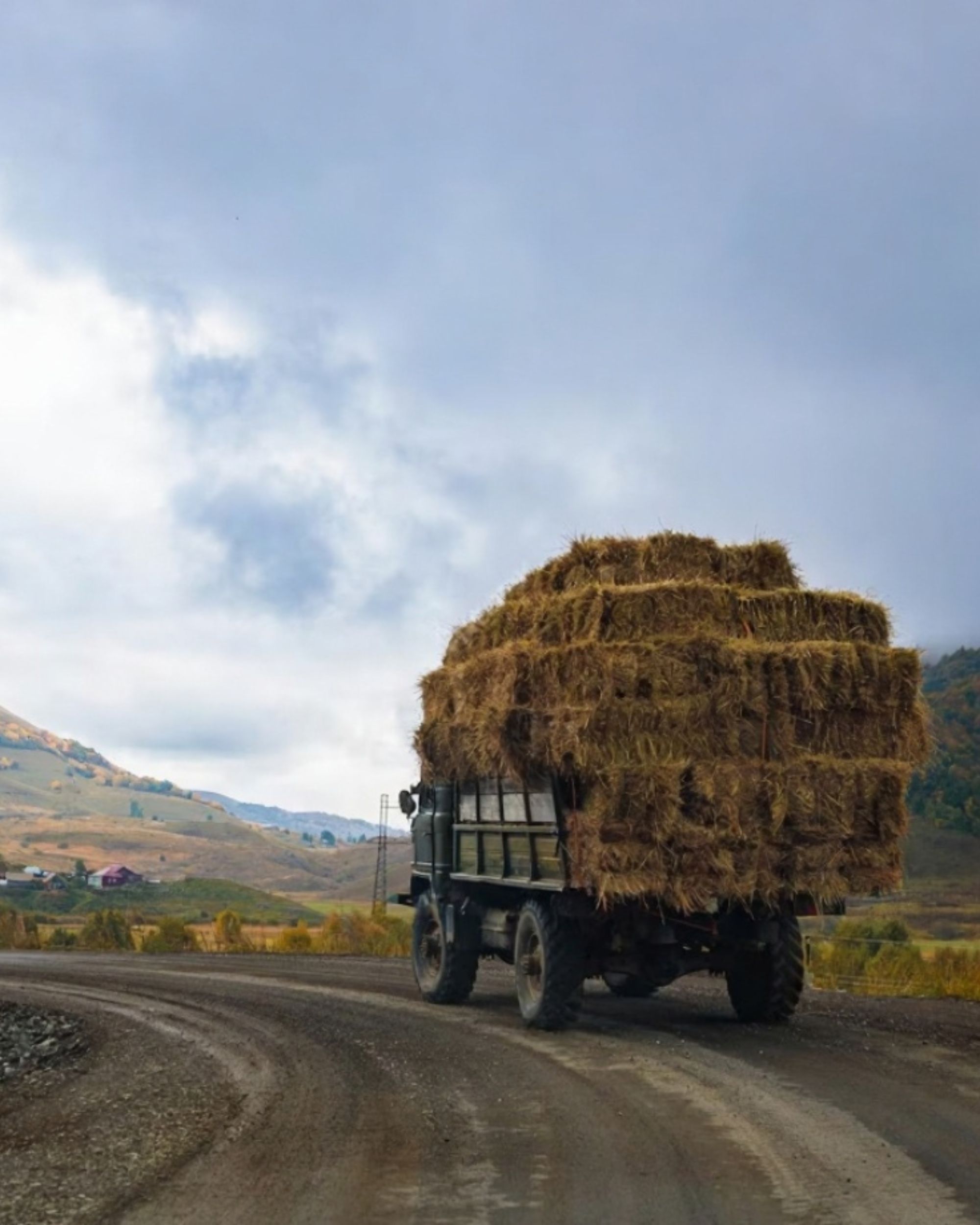 Coal Transportation